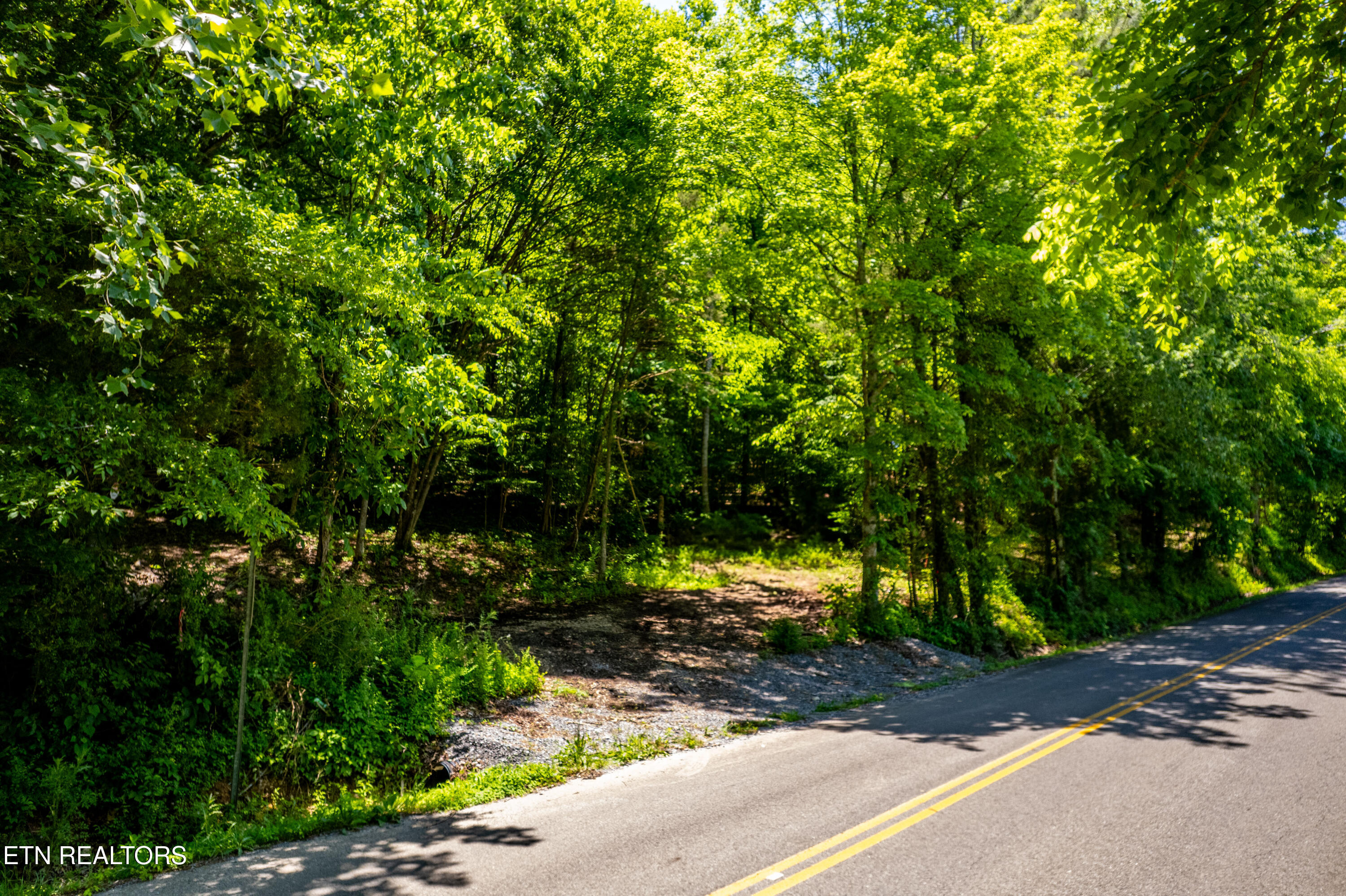 0 Candies Creek Ridge Rd. Lot 1