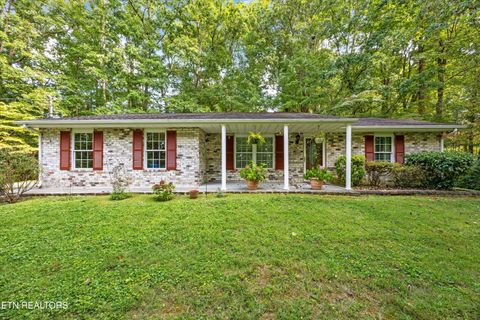 161 Milligan Lane Clinton TN 37716