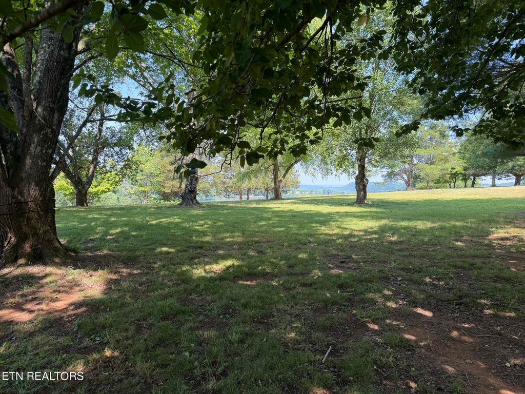 Photo of 21 Morris Lane, Kingston, TN 37763 (MLS # 1341539)