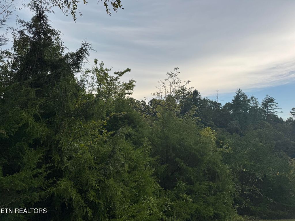 Photo of Eagle Feather Drive, Sevierville, TN 37876 (MLS # 1314933)