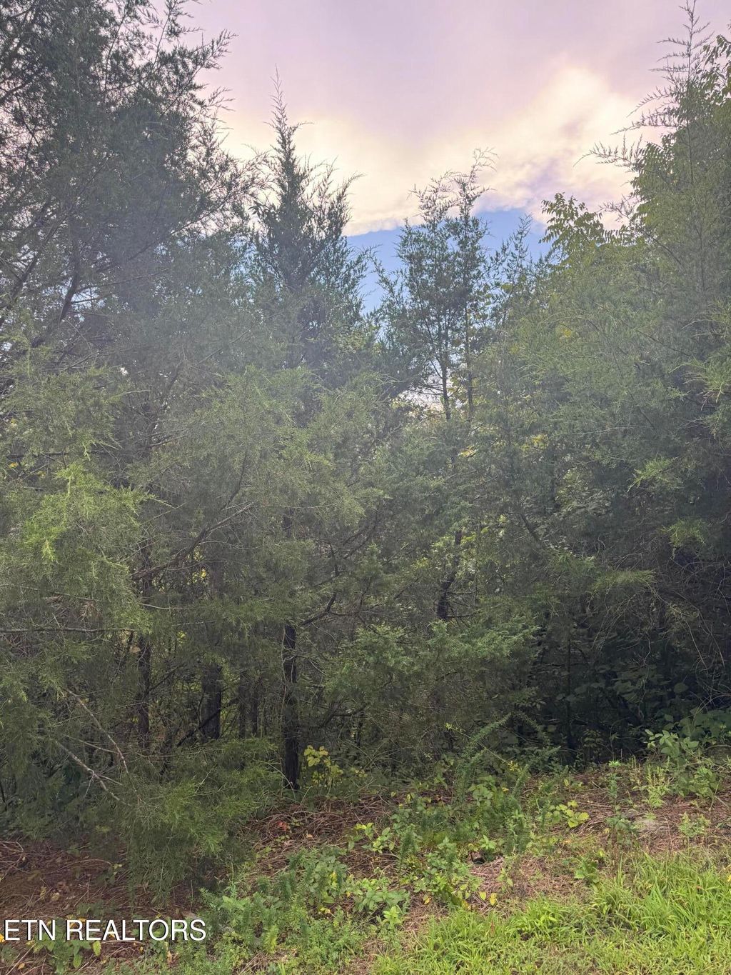 Photo of Eagle Feather Drive, Sevierville, TN 37876 (MLS # 1314933)