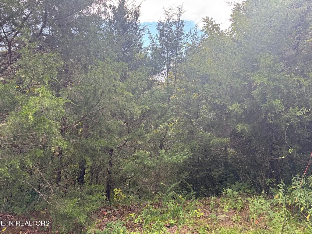 Photo of Eagle Feather Drive, Sevierville, TN 37876 (MLS # 1314933)