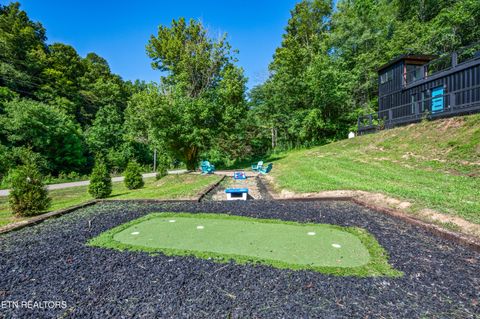 Tiny photo for 4703 Tiger Lilly Drive, Cosby, TN 37722 (MLS # 1314495)