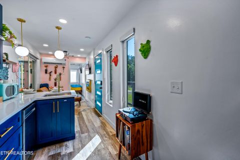 Tiny photo for 4703 Tiger Lilly Drive, Cosby, TN 37722 (MLS # 1314495)