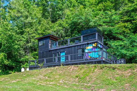Tiny photo for 4703 Tiger Lilly Drive, Cosby, TN 37722 (MLS # 1314495)