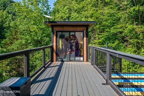 Tiny photo for 4703 Tiger Lilly Drive, Cosby, TN 37722 (MLS # 1314495)