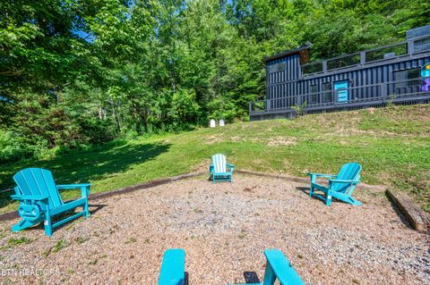 Tiny photo for 4703 Tiger Lilly Drive, Cosby, TN 37722 (MLS # 1314495)