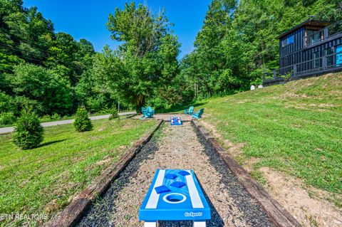 Tiny photo for 4703 Tiger Lilly Drive, Cosby, TN 37722 (MLS # 1314495)