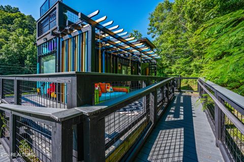 Tiny photo for 4703 Tiger Lilly Drive, Cosby, TN 37722 (MLS # 1314495)