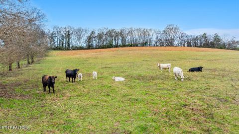 Tiny photo for 0 Asbury Rd, Knoxville, TN 37914 (MLS # 1324125)