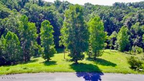 Tiny photo for Cypress Drive, Dandridge, TN 37725 (MLS # 1325479)