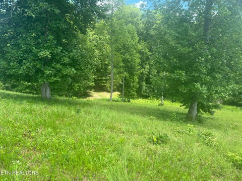 Tiny photo for Cypress Drive, Dandridge, TN 37725 (MLS # 1325479)