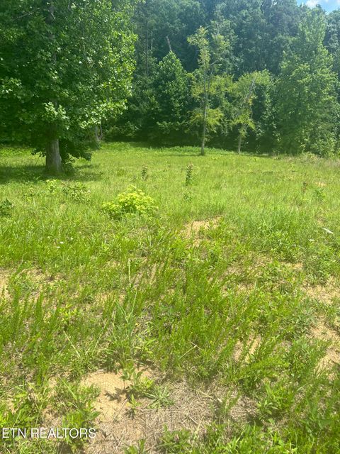 Tiny photo for Cypress Drive, Dandridge, TN 37725 (MLS # 1325479)