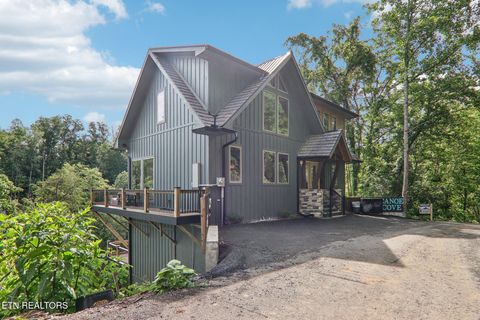 Tiny photo for 134 Jolene Way, Sevierville, TN 37876 (MLS # 1331762)