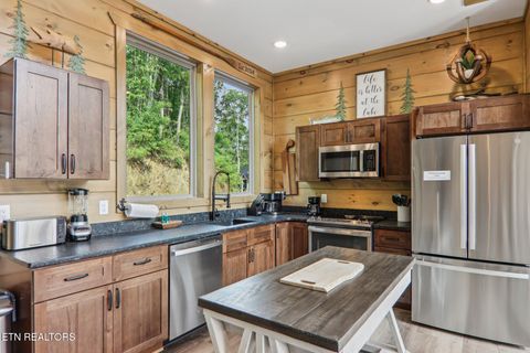 Tiny photo for 134 Jolene Way, Sevierville, TN 37876 (MLS # 1331762)