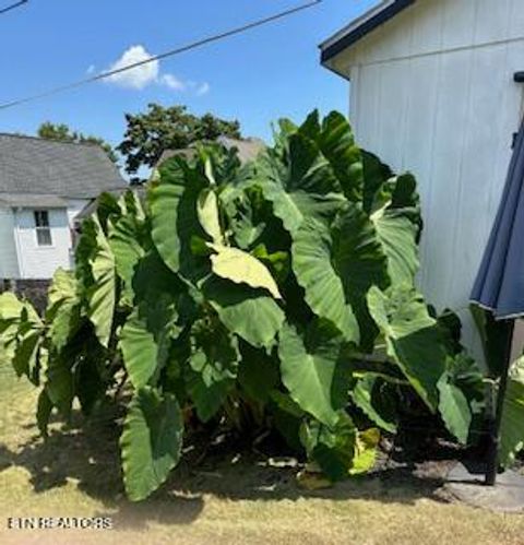 Tiny photo for 208 N B St, Lenoir City, TN 37771 (MLS # 1327495)