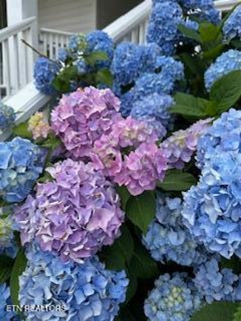 Tiny photo for 208 N B St, Lenoir City, TN 37771 (MLS # 1327495)