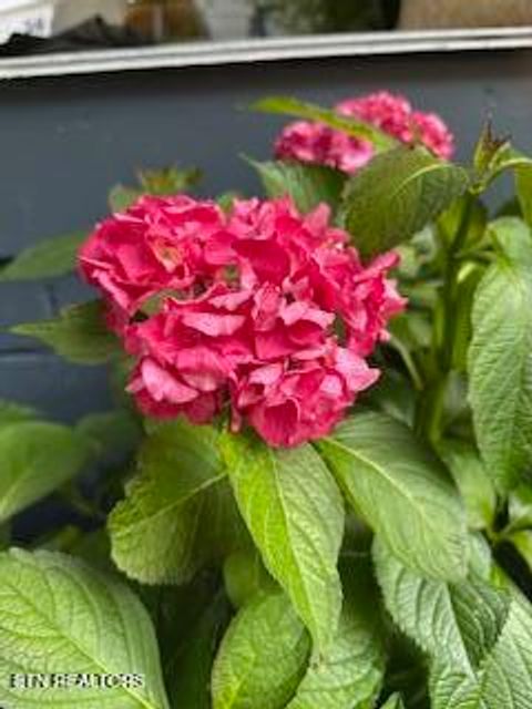 Tiny photo for 208 N B St, Lenoir City, TN 37771 (MLS # 1327495)