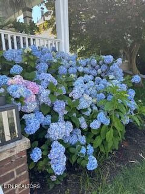 Tiny photo for 208 N B St, Lenoir City, TN 37771 (MLS # 1327495)