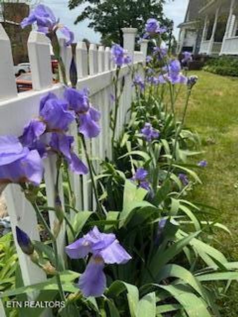 Tiny photo for 208 N B St, Lenoir City, TN 37771 (MLS # 1327495)