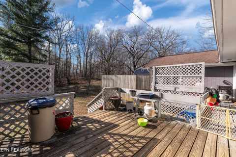 Tiny photo for 715 Robin Drive, New Tazewell, TN 37825 (MLS # 1327409)