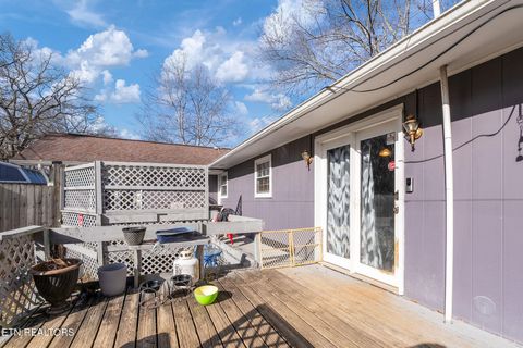Tiny photo for 715 Robin Drive, New Tazewell, TN 37825 (MLS # 1327409)