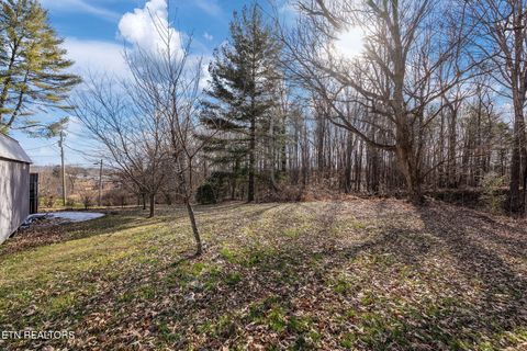 Tiny photo for 715 Robin Drive, New Tazewell, TN 37825 (MLS # 1327409)