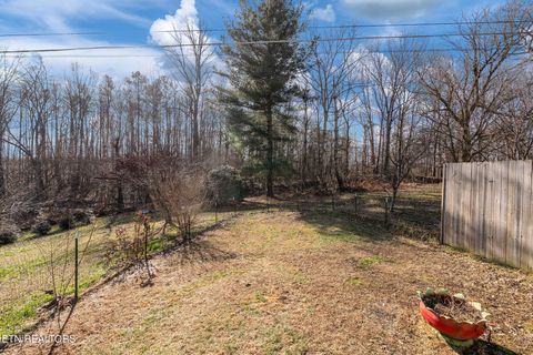 Tiny photo for 715 Robin Drive, New Tazewell, TN 37825 (MLS # 1327409)