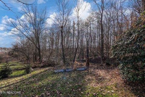 Tiny photo for 715 Robin Drive, New Tazewell, TN 37825 (MLS # 1327409)