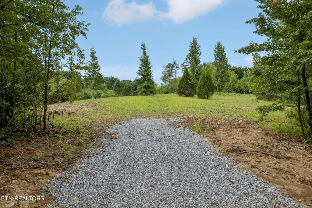 Photo of Sheep Ranch Tract 5, Robbins, TN 37852 (MLS # 1353209)