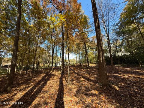 Tiny photo for 5320 Cain Rd, Knoxville, TN 37921 (MLS # 1320607)