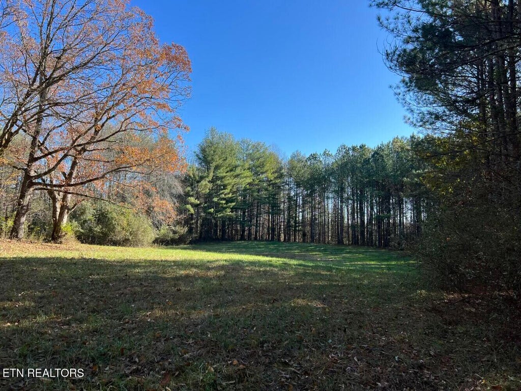 Photo of 1900 Doc Loy Rd, Grandview, TN 37337 (MLS # 1286220)