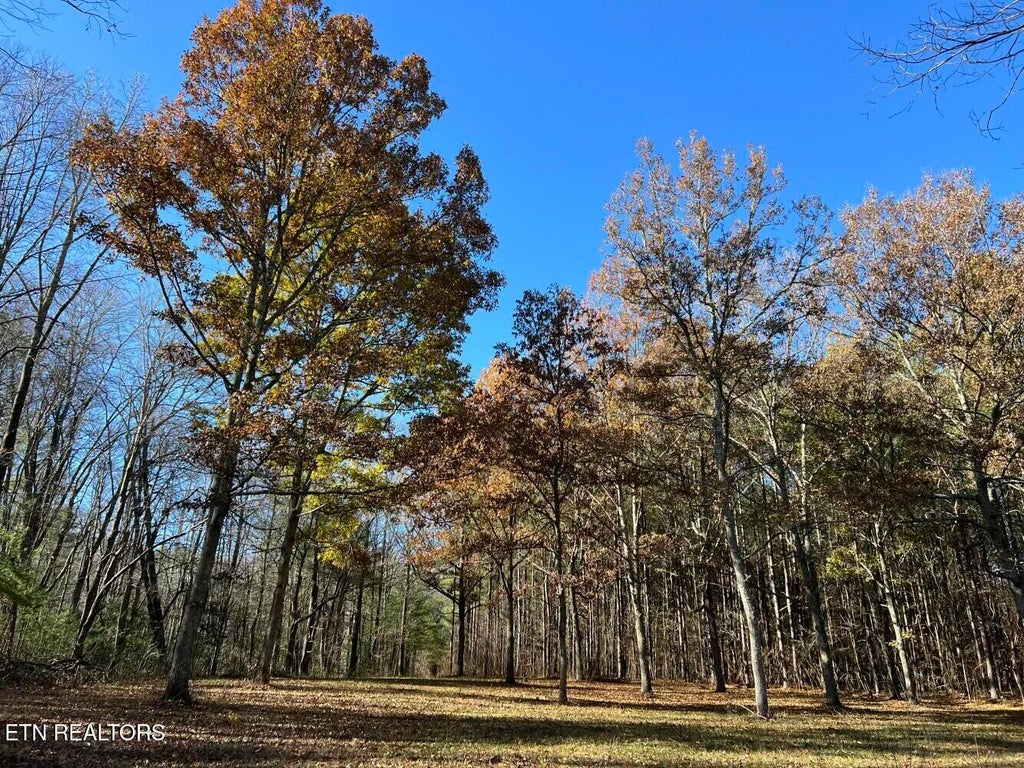 Photo of 1900 Doc Loy Rd, Grandview, TN 37337 (MLS # 1286220)
