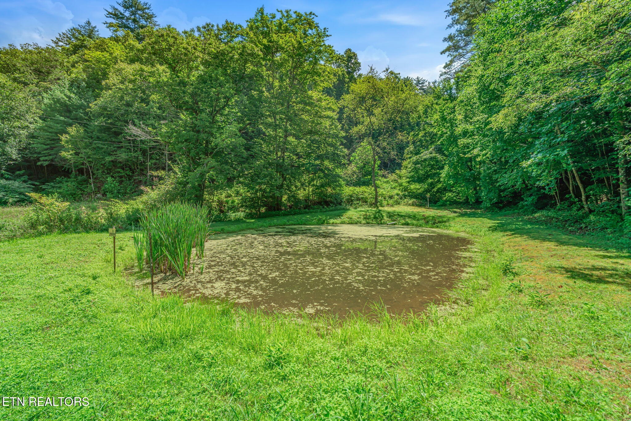 131 Pear Tree Way