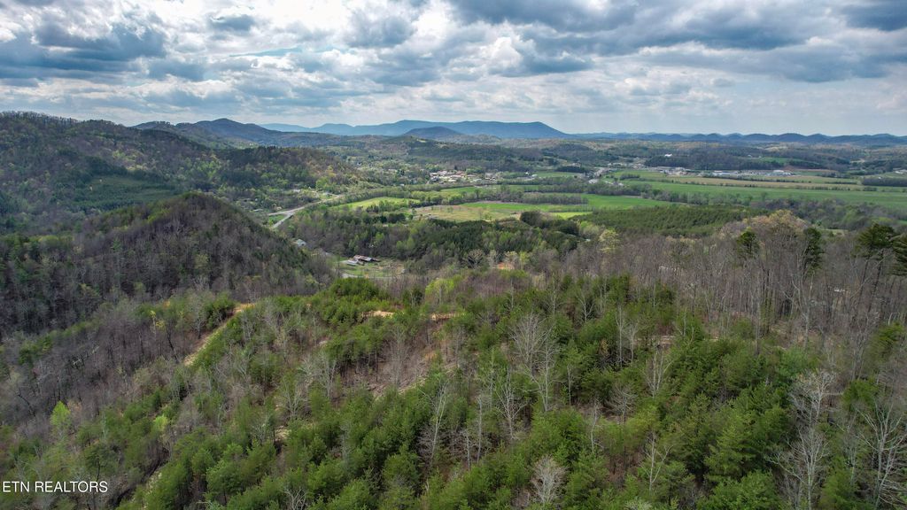 Photo of 3902 Lake Heights Rd, Tellico Plains, TN 37385 (MLS # 1334906)