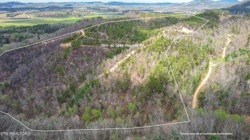 Photo of 3902 Lake Heights Rd, Tellico Plains, TN 37385 (MLS # 1334906)