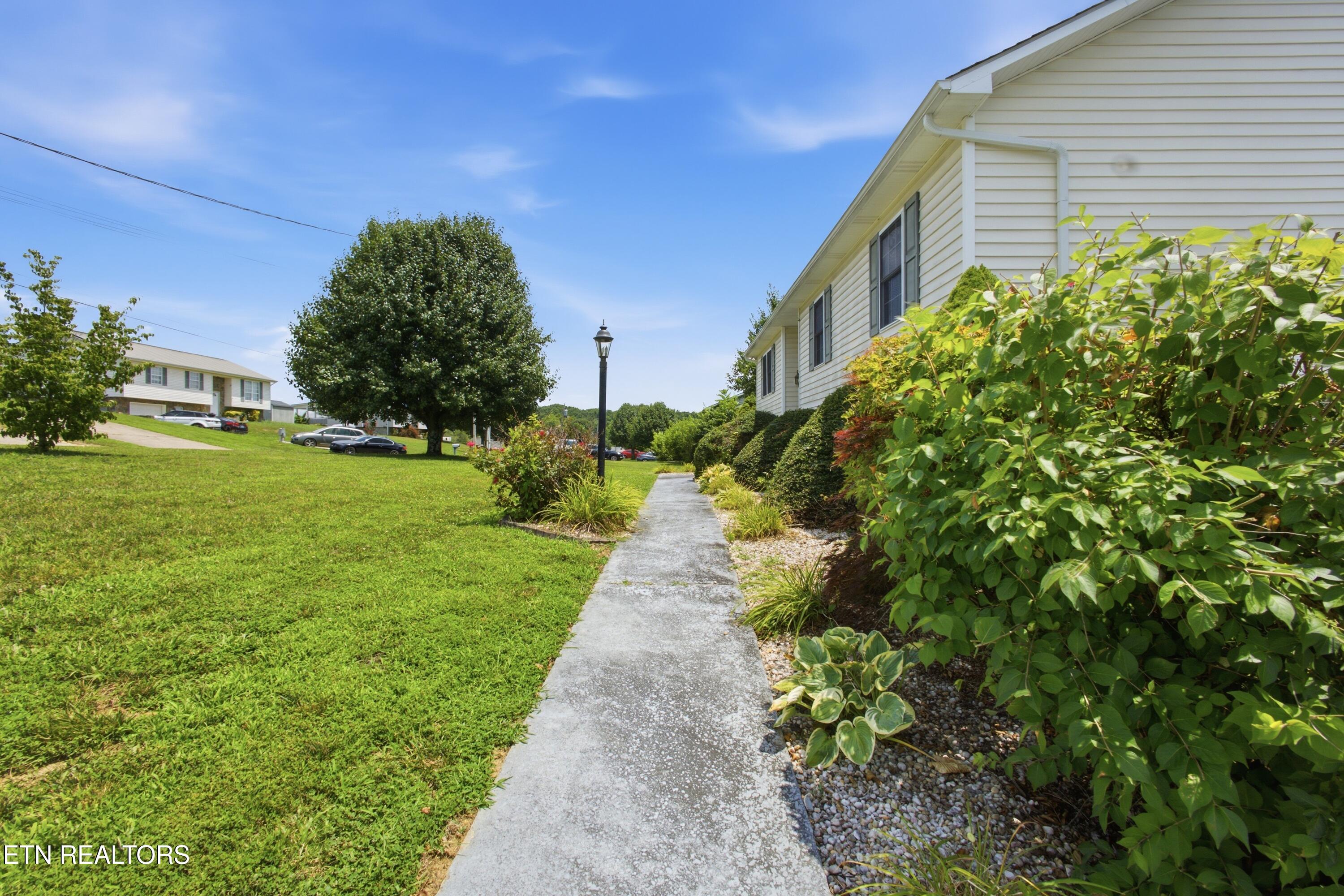 34 Shane St