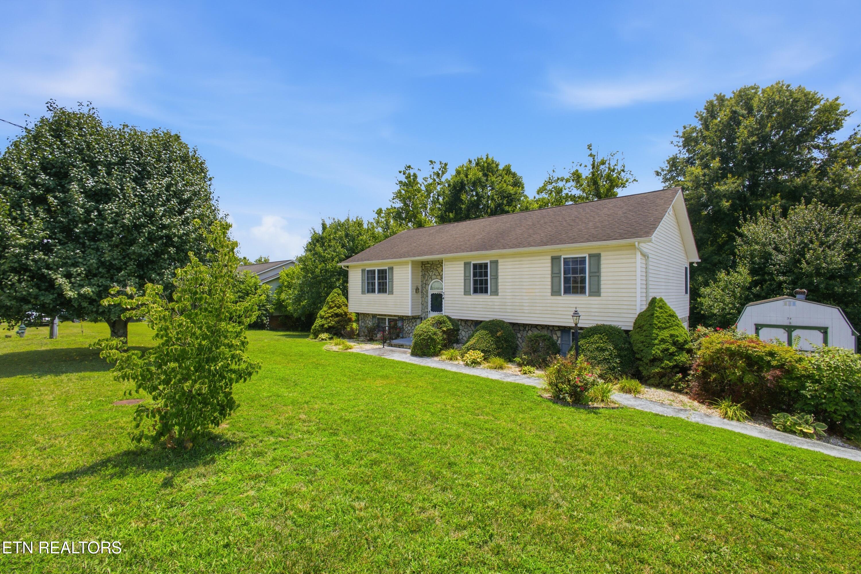 34 Shane St