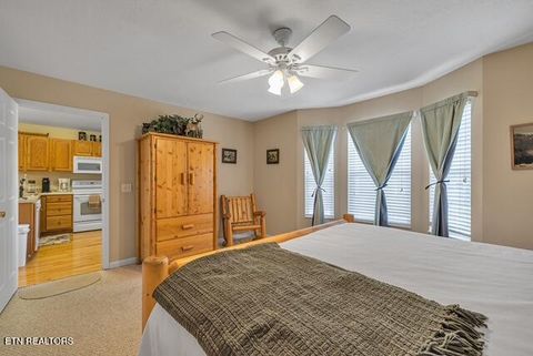 Tiny photo for 531 Tansi Tr, Pigeon Forge, TN 37863 (MLS # 1328182)