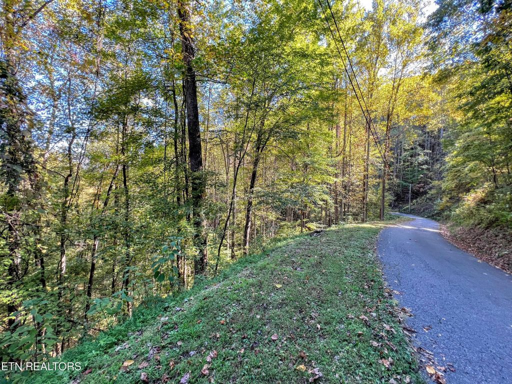 Photo of 1020 Big Buck Tr, Townsend, TN 37882 (MLS # 1284742)