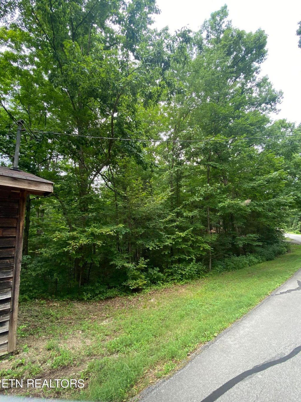Photo of 390 Laurel Rd, Townsend, TN 37882 (MLS # 1200459)