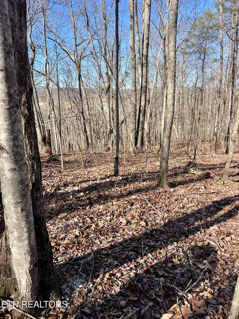 Tiny photo for Herron Rd, Caryville, TN 37714 (MLS # 1336627)