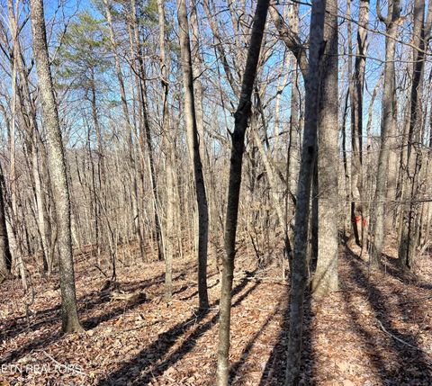 Tiny photo for Herron Rd, Caryville, TN 37714 (MLS # 1336627)