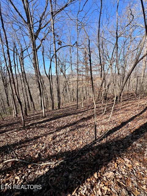 Tiny photo for Herron Rd, Caryville, TN 37714 (MLS # 1336627)