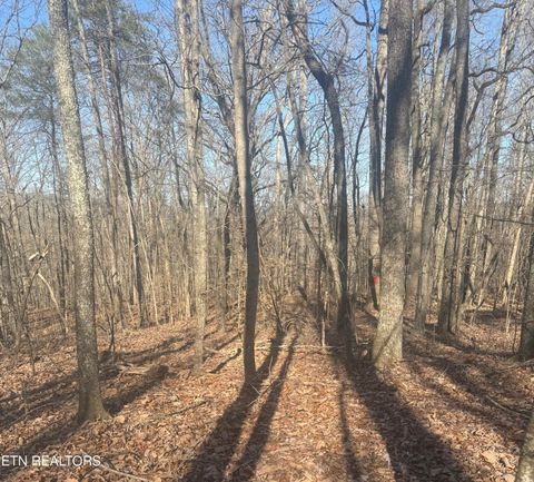 Tiny photo for Herron Rd, Caryville, TN 37714 (MLS # 1336627)