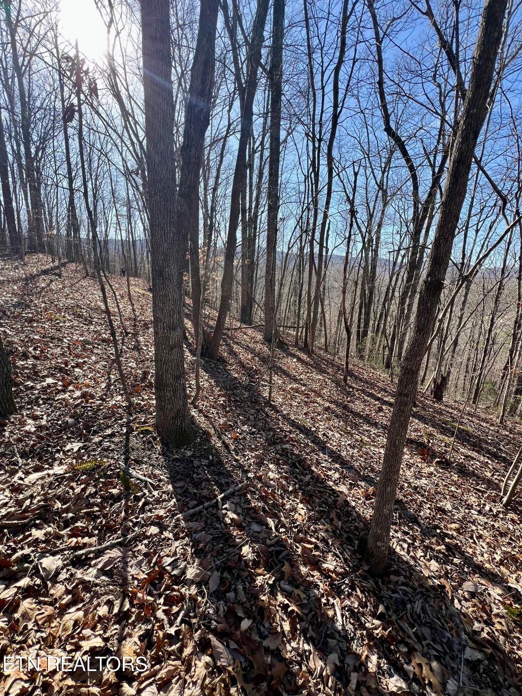 Photo of Herron Rd, Caryville, TN 37714 (MLS # 1336627)