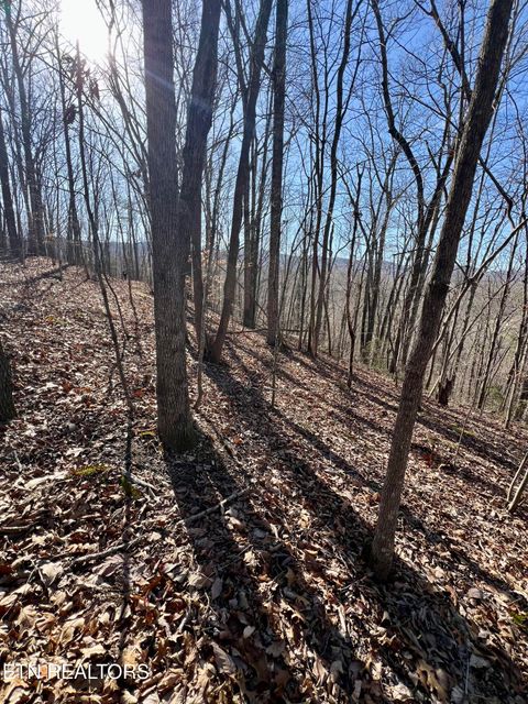 Tiny photo for Herron Rd, Caryville, TN 37714 (MLS # 1336627)