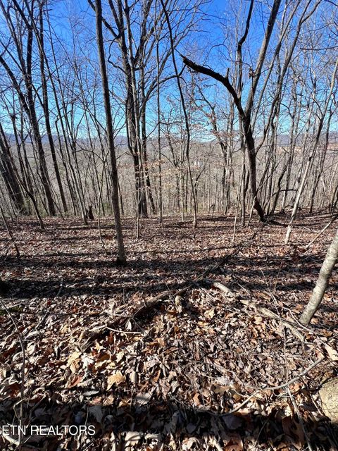Photo of Herron Rd, Caryville, TN 37714 (MLS # 1336627)