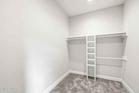 Tiny photo for 1853 Calgary Falls Lane, Knoxville, TN 37931 (MLS # 1341669)