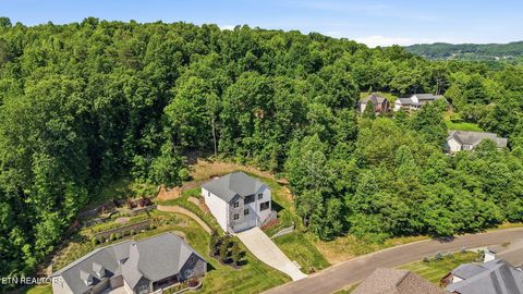 Tiny photo for 1853 Calgary Falls Lane, Knoxville, TN 37931 (MLS # 1341669)